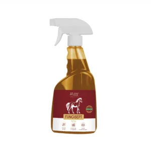 FUNGISEPT Spray 500 ml