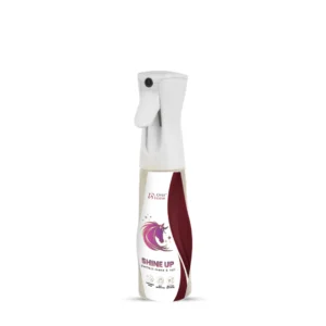 SHINE Up 300 ml